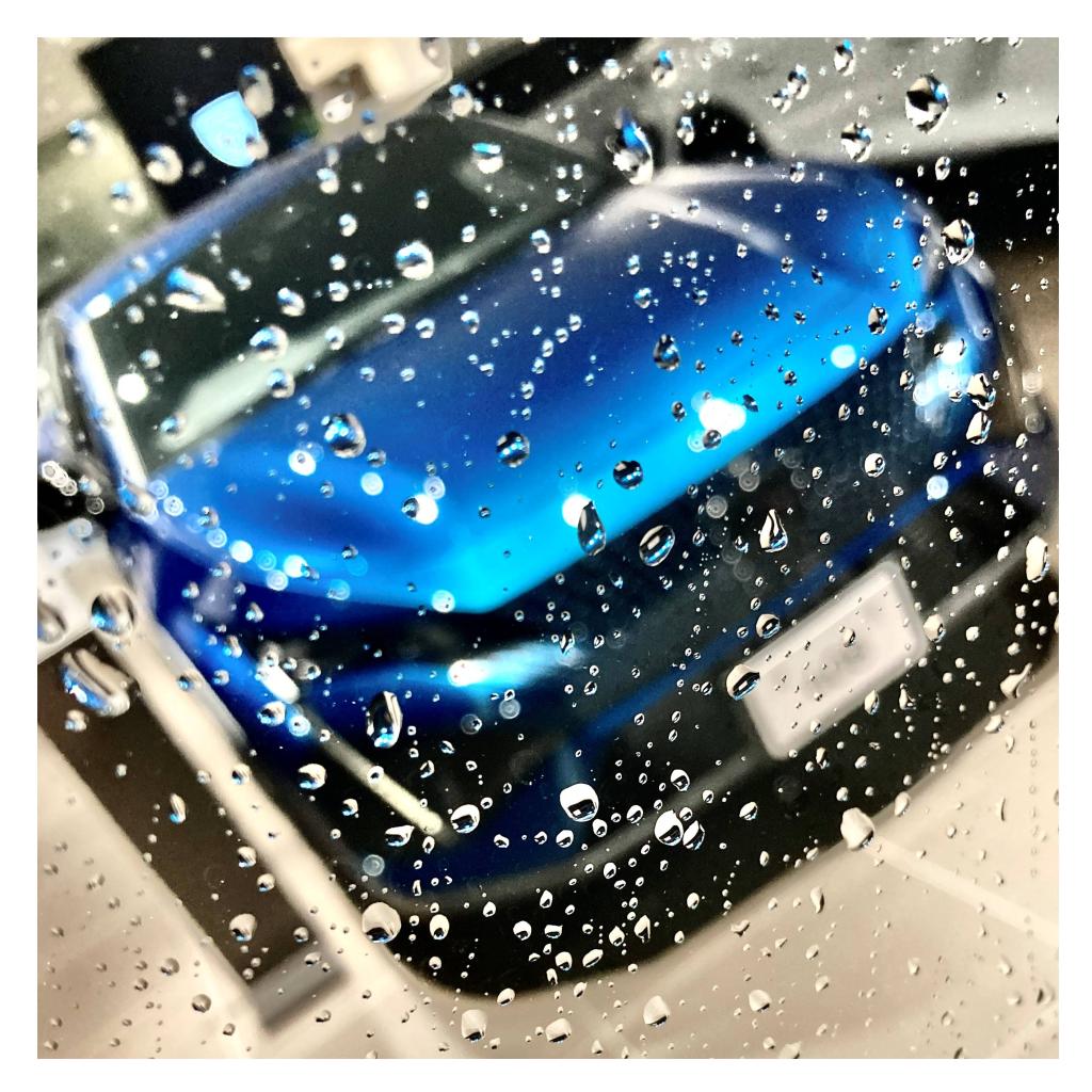 先週末の初雪から一転、雨。