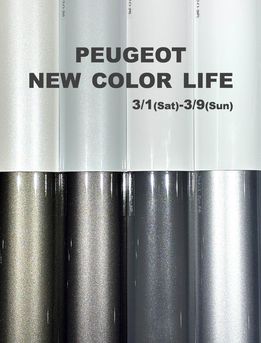 NEW COLOR LIFE 第二弾！3/1(土)-9(日)