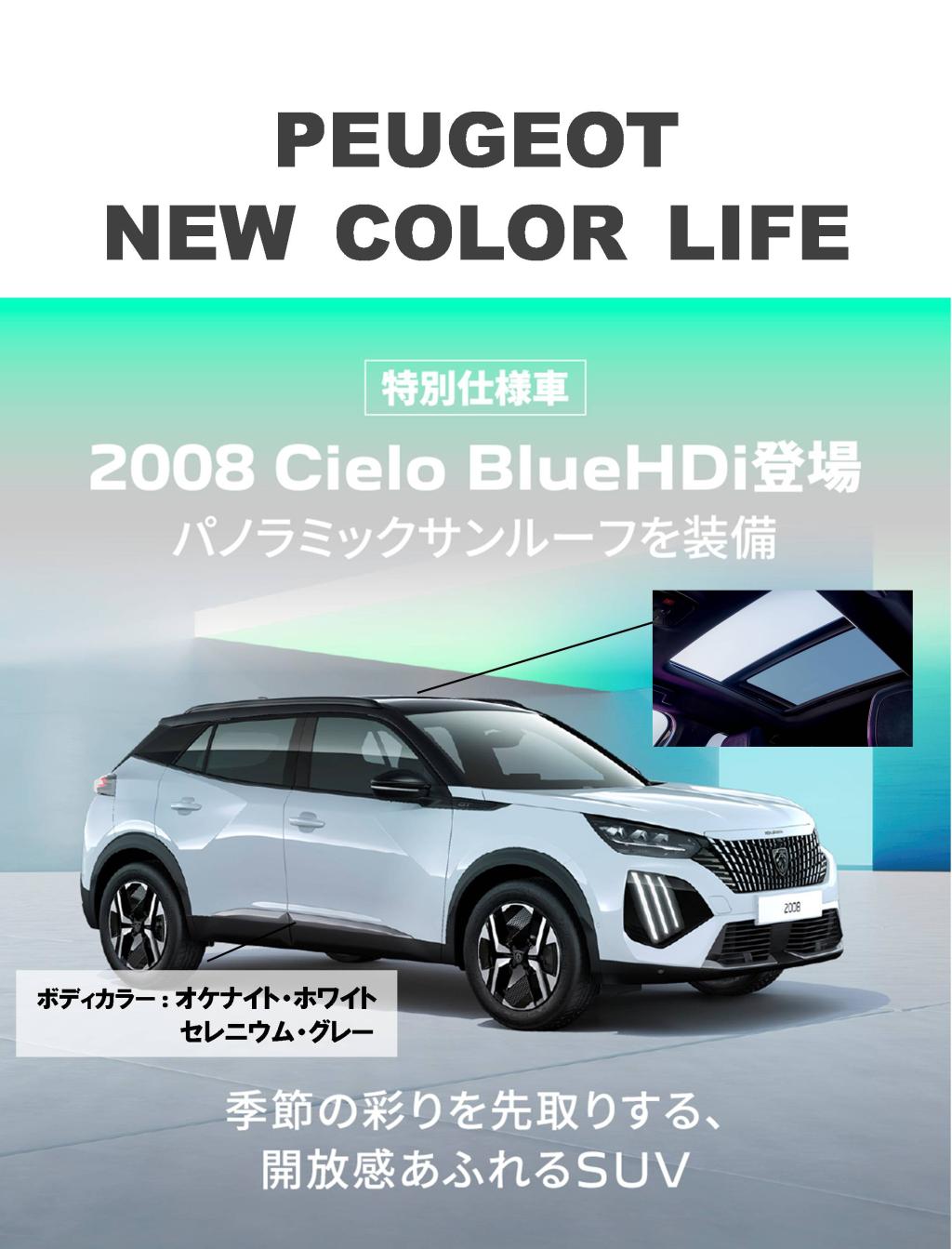 NEW COLOR LIFE 第二弾！3/1(土)-9(日)
