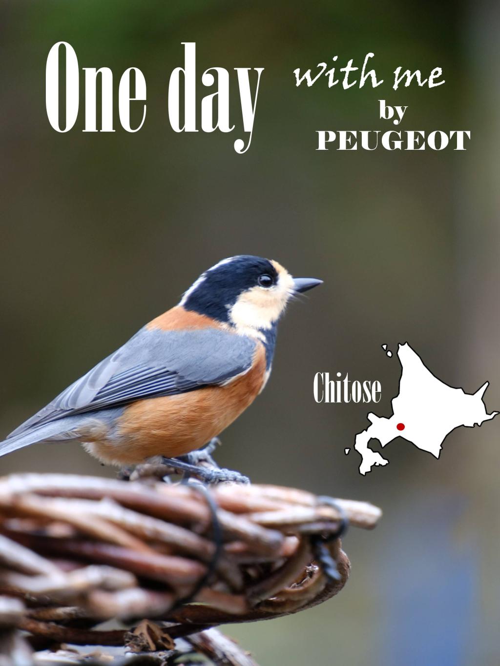 One day with me 穏やかな時間を求めて。