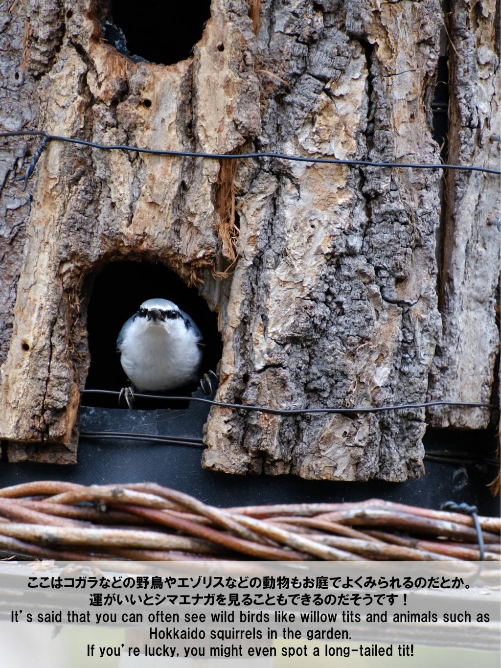 One day with me 穏やかな時間を求めて。