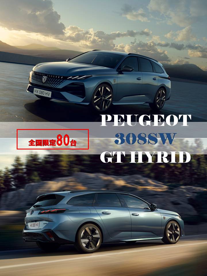 新型308SW発売！