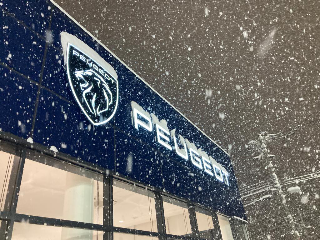 とつぜんの大雪です！