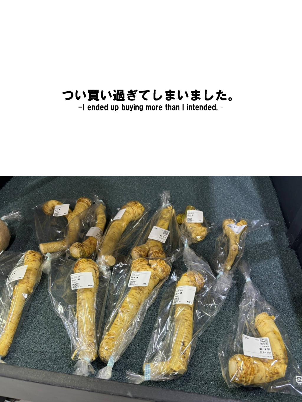 One day with me 山麓留寿都へ。