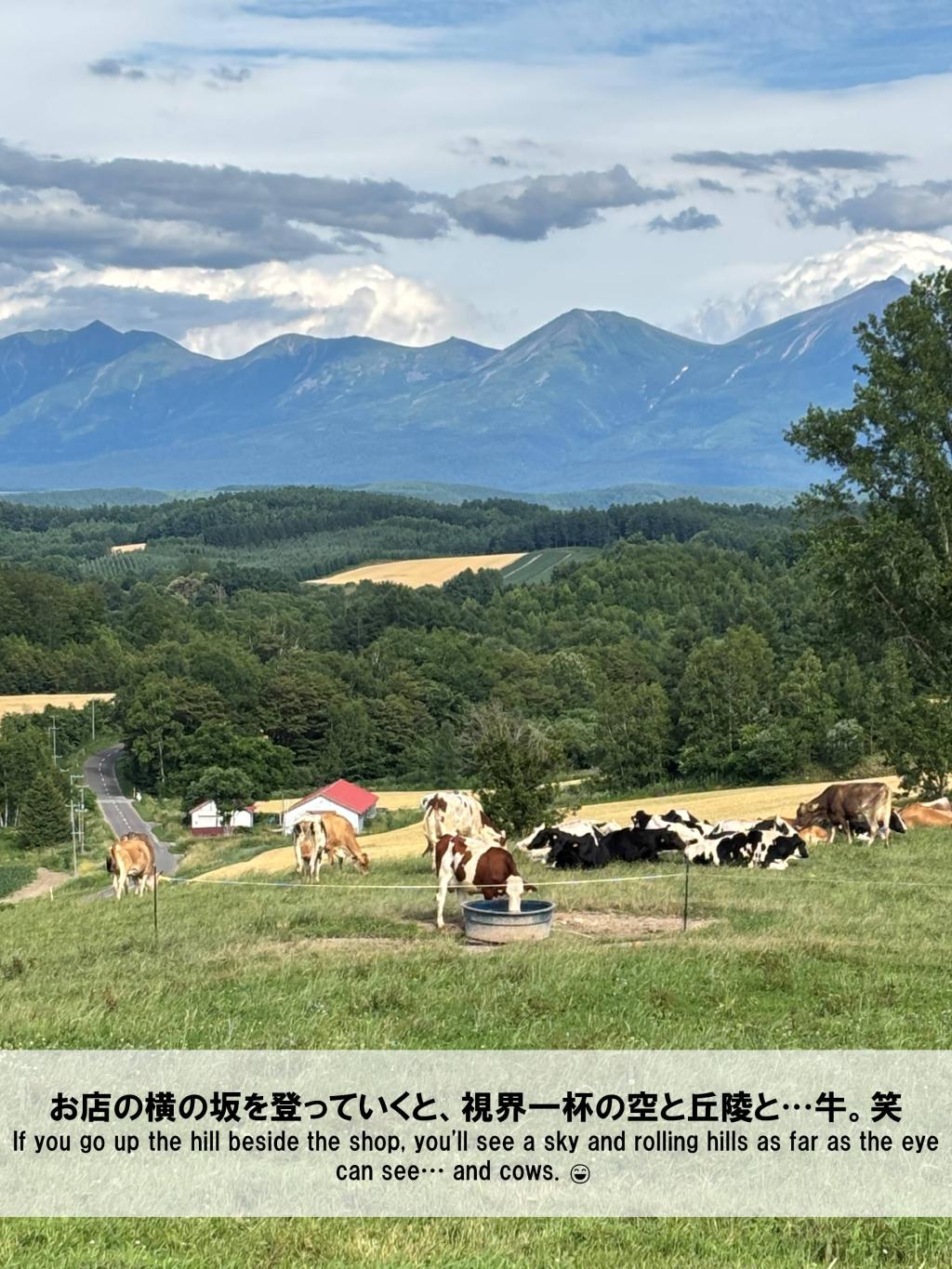One day with me　冷涼を口に、丘陵を望む。