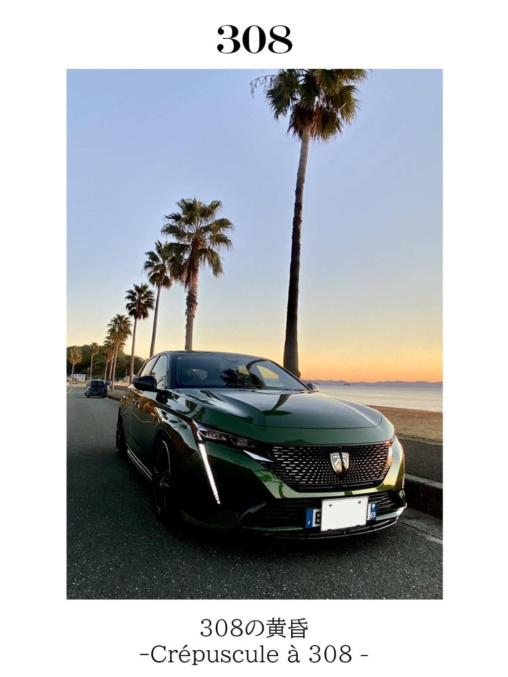 12月フォトコンテスト結果発表！